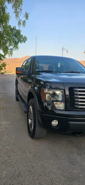 Used Ford F-150 in Al Dakhiliya