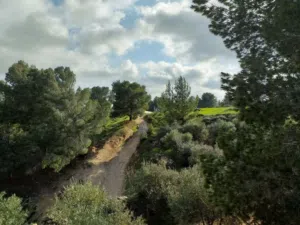 Farm Land for Sale in Irbid Al Hay Al Sharqy