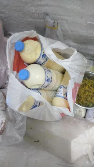أدور غنم لإنتاج الحليب عشان أترزق منه