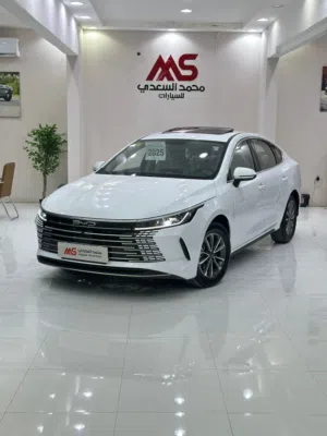 ‏بي واي دي ‏.‏ ديستروير ‏.‏ 2025 ‏.‏ جديد‏4