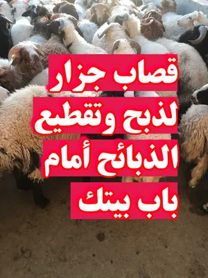 ‏لحوم‏3