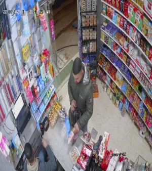 Used Volkswagen Caddy in Ramallah and Al-Bireh