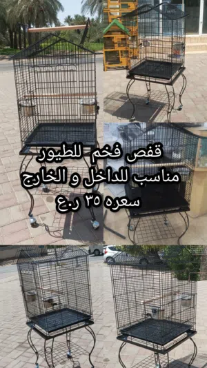 قفص اسود فخم للطيور