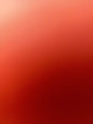 قصي علي داوود علي 