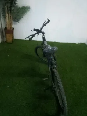 سيكل للبيع