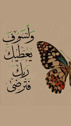 علي محمد 