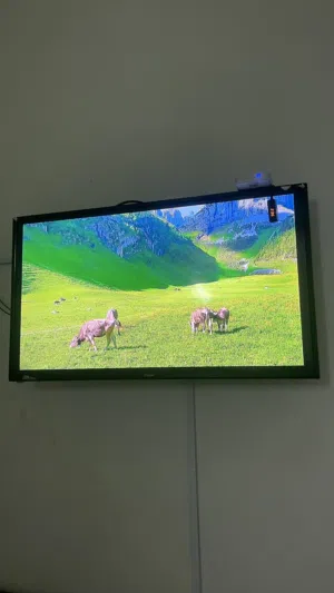 تلفزيون 36 للبيع