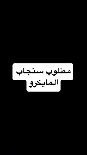 مطلوب سنجاب المايكرو