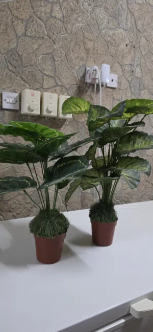 بيع شتلات صناعيه زينه للمنزل