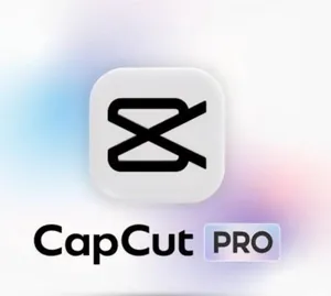 Capcut pro 1 year Subscription