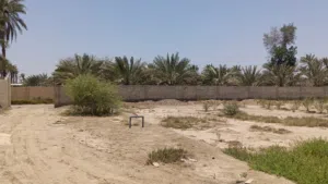 ارض زراعية للاستثمار الماي مالح وفيها كهرباء