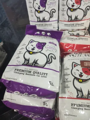 رمل قطط سوفت كات شوف الريلز و العرض ما يتفوت ابدا