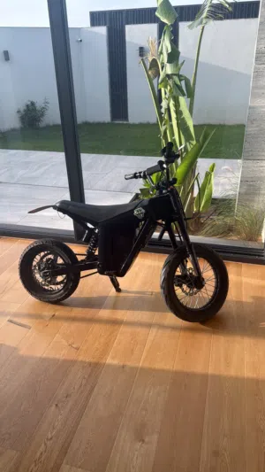 Kugoo wish 01 modded 75kmh