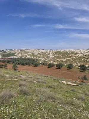 Residential Land for Sale in Irbid Fo'ara