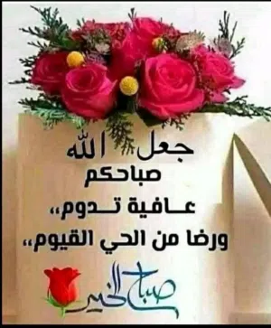 للبيع تلفزيون بانسونيك شغال تمام