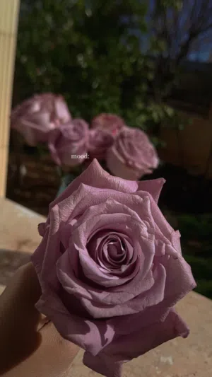 فستان ساتان زهري بارد