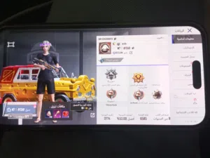 Pubg Accounts and Characters for Sale in Zarqa