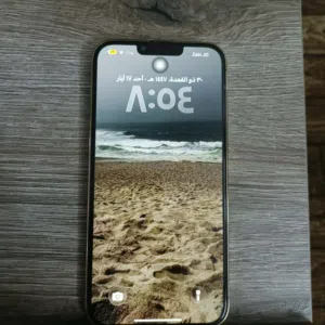 Apple iPhone 13 Pro Max 256 GB in Amman