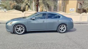 Used Nissan Maxima in Kuwait City