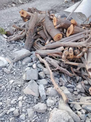 ماشاء الله للبيع حطب سمر جودة عالية