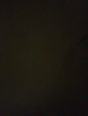 زنقة المحاضرات؟ هفرغهالك بـ 2 جنيه بس والدفع بعد ما تستلم