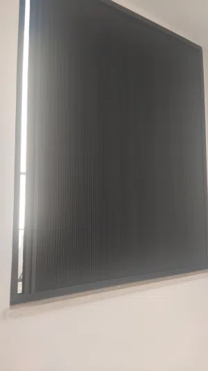 ستاره بلاك اوت