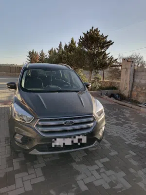 Used Ford Escape in Amman