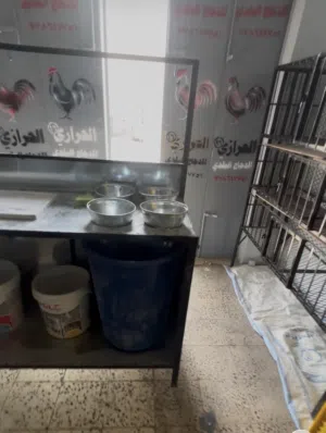 محل دجاج للبيع