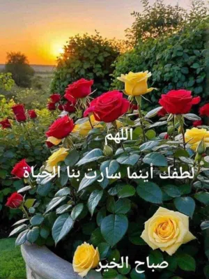 حيدر الزيدي 