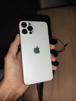 Ibrahim 