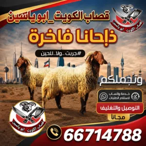 قصاب الكويت اغنام للبيع لجميع مناطق الكويت