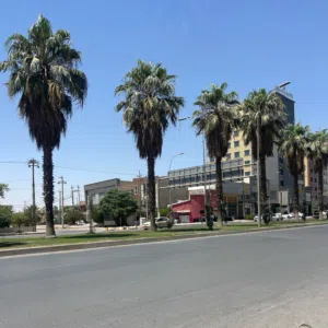 ابو محمد