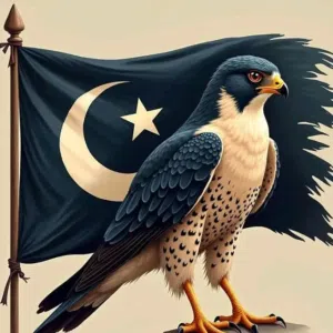 العريبي 