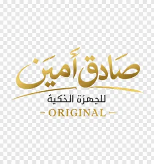 امين صدقي 