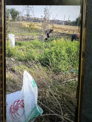 Farm Land for Sale in Zagazig Other