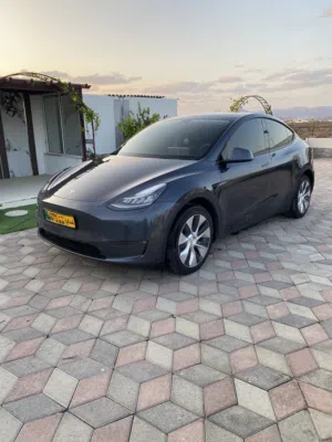 Used Tesla Model Y in Al Dhahirah