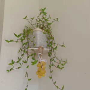 صابن لغسل اليدين