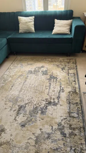 Living room Carpet