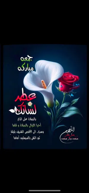 ابو عبد العزيز 