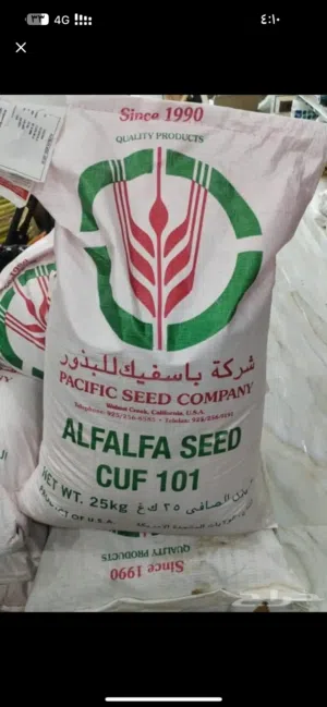 بذور بذار برسيم امريكي كاف 101