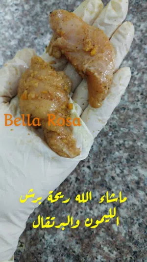 دجاج سفاين مسحب للبيع