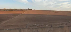 Farm Land for Sale in Madaba Madaba Center