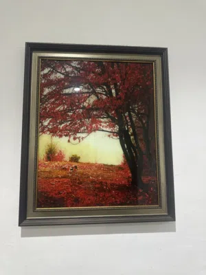 Picture wall decor