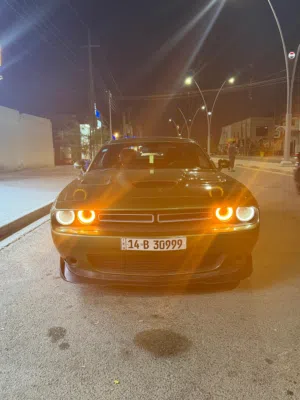 Used Dodge Challenger in Basra