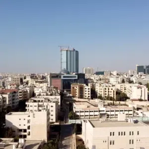 طارق 