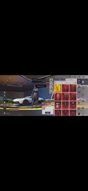 Pubg Accounts and Characters for Sale in Northern Governorate