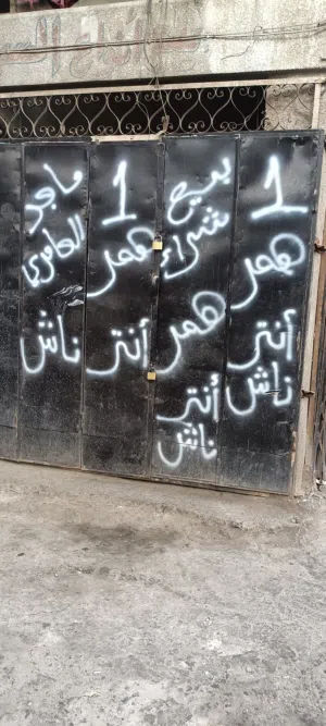 ‏جديد‏0