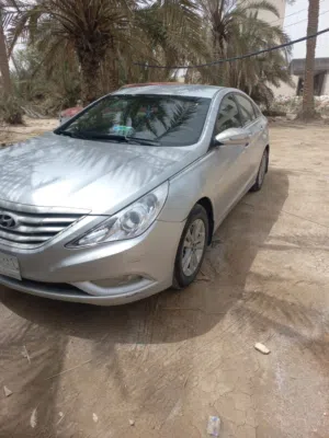 سوناتا 2013
