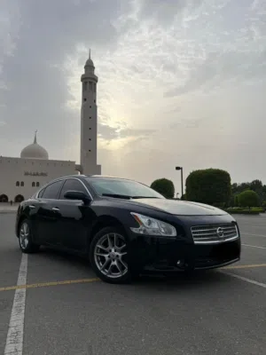 Used Nissan Maxima in Muscat