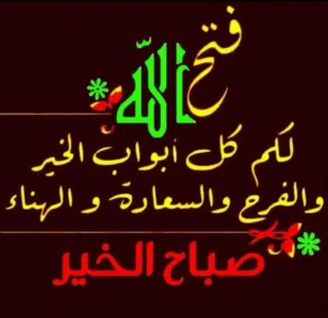 حسن عبد الحميد 